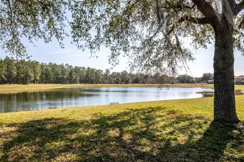 16825 Sunrise Vista Dr, Clermont, FL 34714