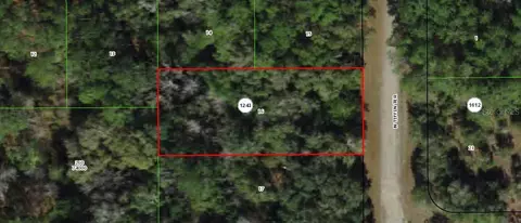 9188 N Tiffin Ter, Dunnellon, FL 34434