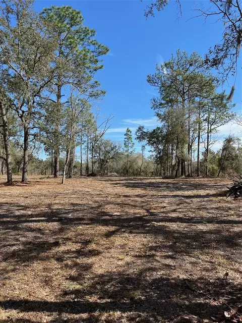 00 NE 6th St, Williston, FL 32696