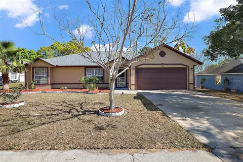 909 Palm Forest Ln, Minneola, FL 34715
