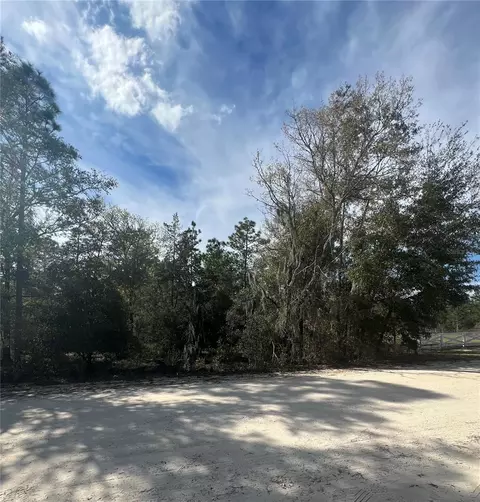 tbd NE 141st Ter, Williston, FL 32696