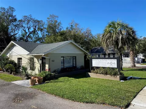 911 N Donnelly St, Mount Dora, FL 32757