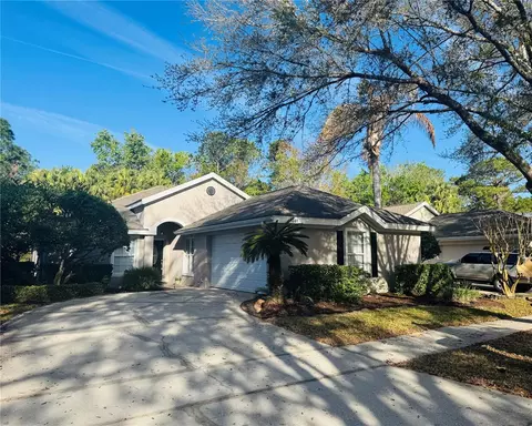 1661 Stafford Springs Blvd, Mount Dora, FL 32757
