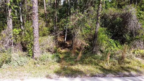 Quail Ranch Road, New Smyrna Beach, FL 32168