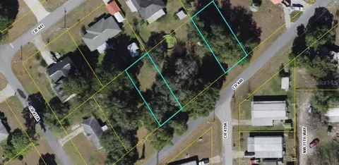 lot16 19 Cr 440, Lake Panasoffkee, FL 33538