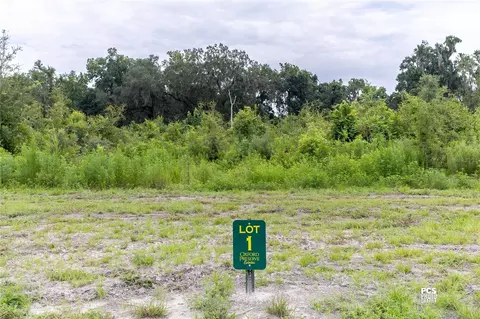 1480 Oxford Preserve Trl, Oxford, FL 34484
