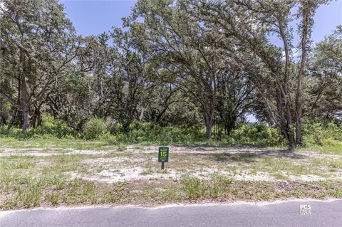 1405 Oxford Preserve Trl, Oxford, FL 34484