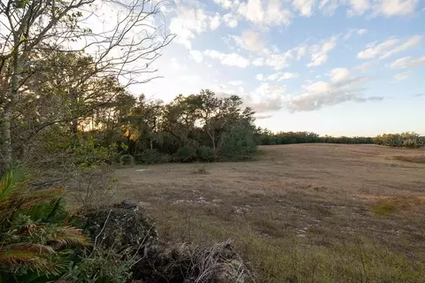 Other - 993 Cr 722, Webster, FL 33597 photo 23 of 45