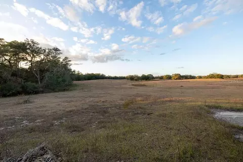 Other - 993 Cr 722, Webster, FL 33597 photo 22 of 45