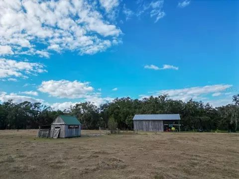 Exterior - 993 Cr 722, Webster, FL 33597 photo 18 of 20