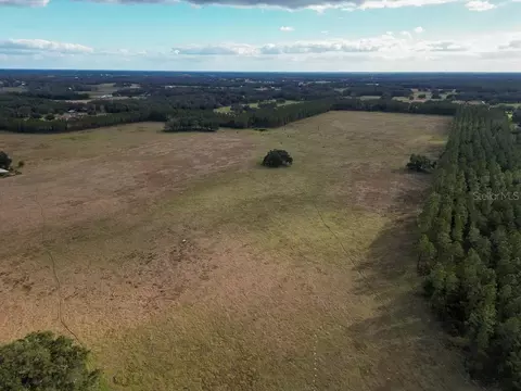 Other - 993 Cr 722, Webster, FL 33597 photo 39 of 45