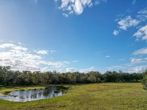 View/Area - 993 Cr 722, Webster, FL 33597 photo 10 of 12