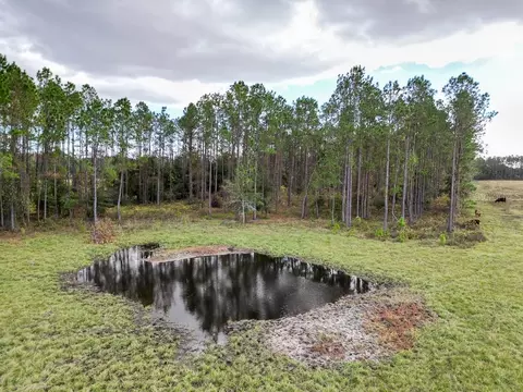 View/Area - 993 Cr 722, Webster, FL 33597 photo 3 of 12