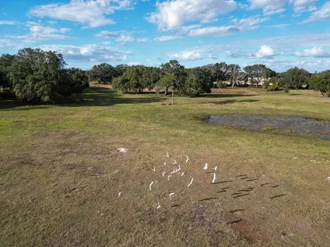 Other - 993 Cr 722, Webster, FL 33597 photo 43 of 45