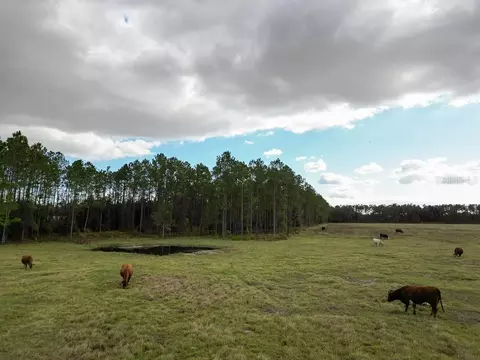 Other - 993 Cr 722, Webster, FL 33597 photo 35 of 45