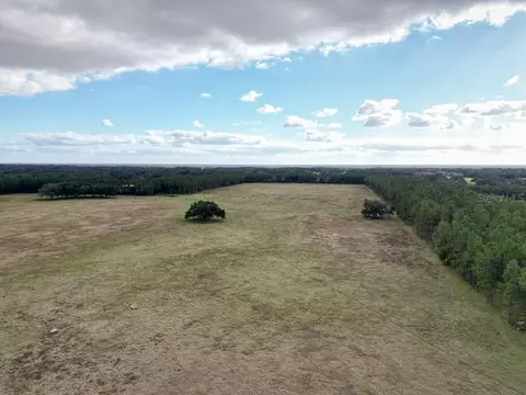 Other - 993 Cr 722, Webster, FL 33597 photo 32 of 45