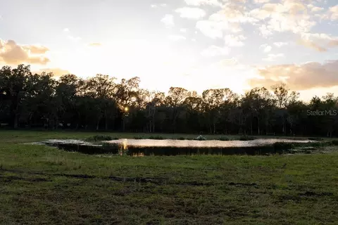 View/Area - 993 Cr 722, Webster, FL 33597 photo 2 of 12