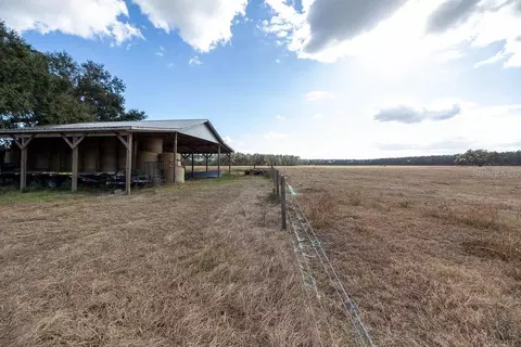 Other - 993 Cr 722, Webster, FL 33597 photo 18 of 45
