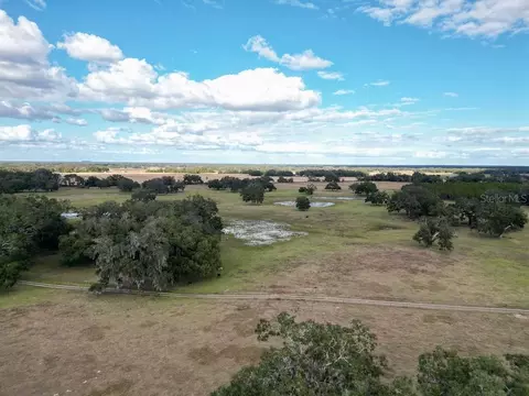 Other - 993 Cr 722, Webster, FL 33597 photo 34 of 45