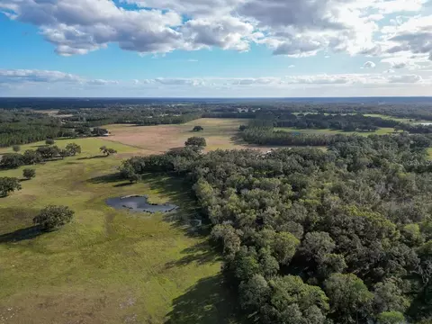 Other - 993 Cr 722, Webster, FL 33597 photo 44 of 45