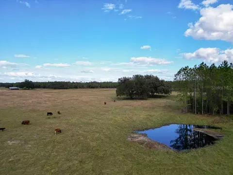 View/Area - 993 Cr 722, Webster, FL 33597 photo 5 of 12