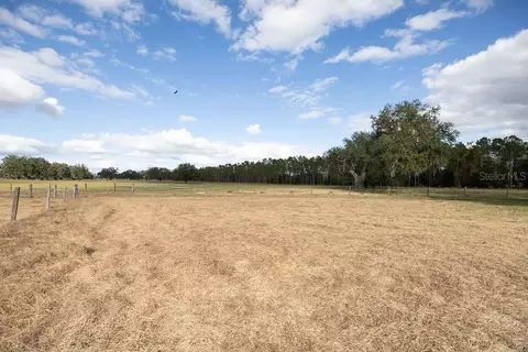 Other - 993 Cr 722, Webster, FL 33597 photo 16 of 45