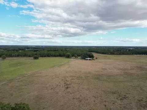 Other - 993 Cr 722, Webster, FL 33597 photo 33 of 45