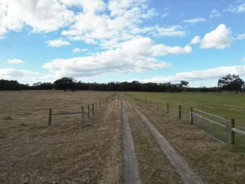 Other - 993 Cr 722, Webster, FL 33597 photo 1 of 45