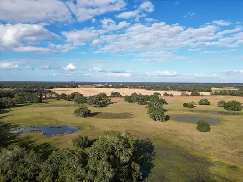 View/Area - 993 Cr 722, Webster, FL 33597 photo 9 of 12
