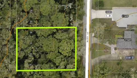 31625 Niles St, Sorrento, FL 32776