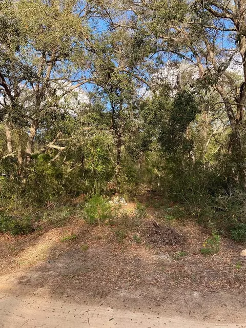 Dogwood Way, Lady Lake, FL 32159