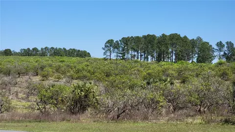 0 Thrill Hill Rd, Eustis, FL 32736