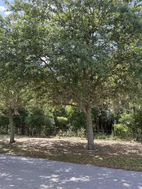 tbd Grass Roots Rd, Groveland, FL 34736
