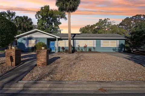 219 N Rossiter St, Mount Dora, FL 32757