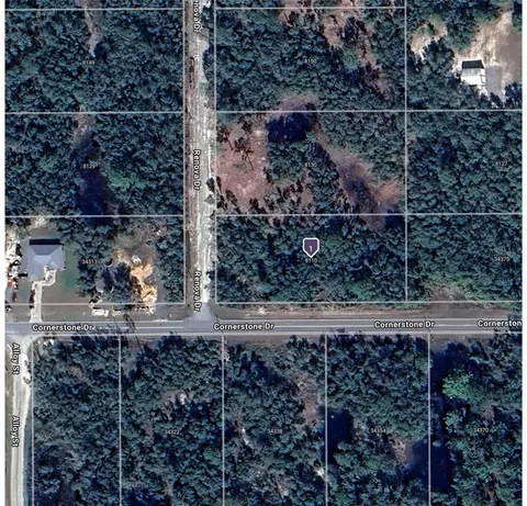 8110 Renova Dr, Webster, FL 33597