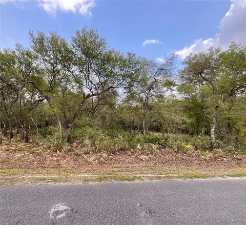 8230 Shasta St, Webster, FL 33597 photo 1