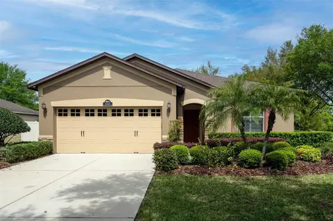 21425 Sullivan Ranch Blvd, Mount Dora, FL 32757
