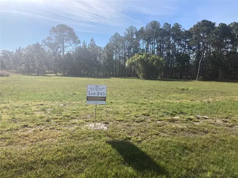38518 Wooded Meadow Dr, Umatilla, FL 32784