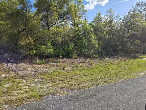 Cr 245c, Oxford, FL 34484