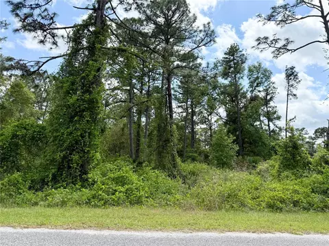 lot2 Quince Ave, Eustis, FL 32736 photo 14