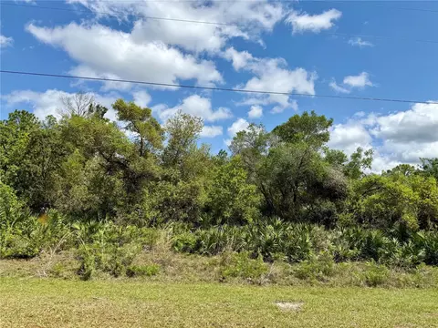 lot29 Apricot Ave, Eustis, FL 32736