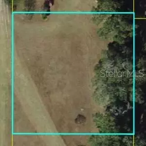 Ne 36th St., Oxford, FL 34484