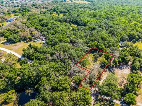 3633 Panther Path Rd, Lutz, FL 33559 photo 17