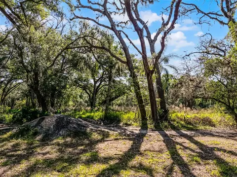 3633 Panther Path Rd, Lutz, FL 33559 photo 7