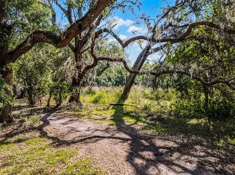 3633 Panther Path Rd, Lutz, FL 33559 photo 6