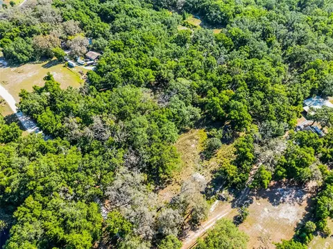 3633 Panther Path Rd, Lutz, FL 33559 photo 21