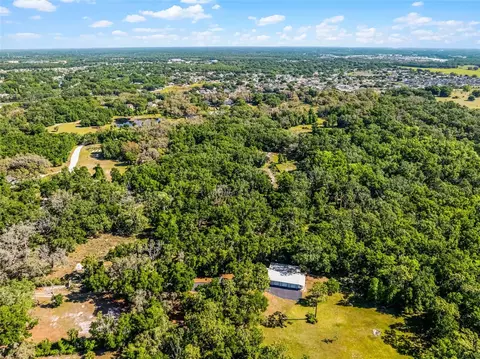 3633 Panther Path Rd, Lutz, FL 33559 photo 15