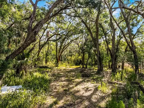 3633 Panther Path Rd, Lutz, FL 33559 photo 4