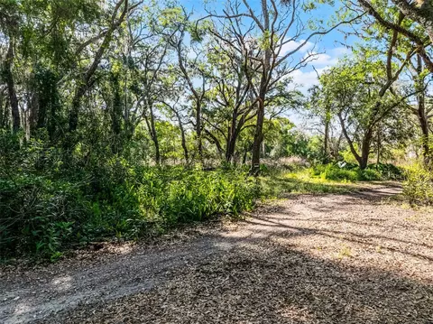 3633 Panther Path Rd, Lutz, FL 33559 photo 8