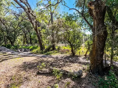 3633 Panther Path Rd, Lutz, FL 33559 photo 14